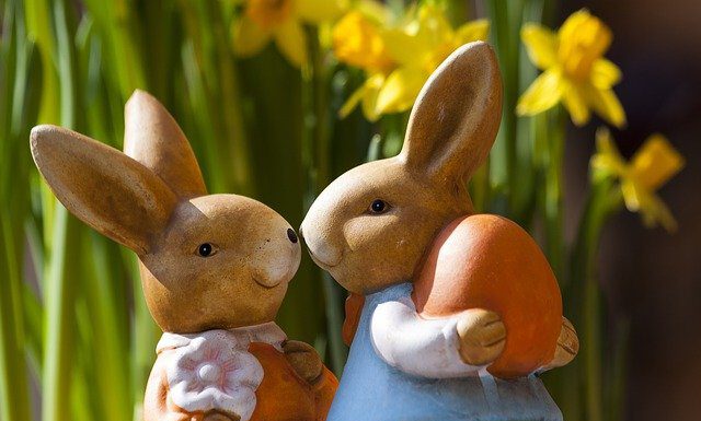 Neustadt holt die Hasen raus – Der Frühling kommt und Ostern ist in Sicht