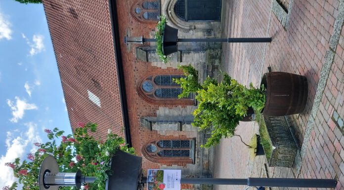 Farbenfroh und blühend! Akzente für die Innenstadt