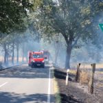 Brennender Mähdrescher greift auf Feld und Wald über