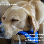 Technische Prävention der Polizeidirektion Hannover: Beratung in Sachen Einbruchschutz