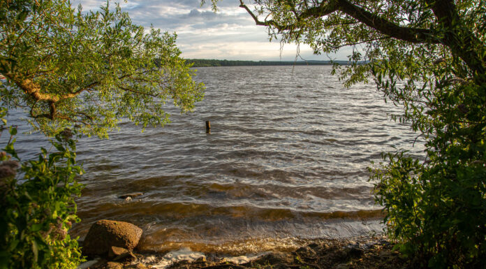 Neustadt a. Rbg. und Wunstorf: Anerkennung als LEADER-Region Meer & Moor erfolgt! Blick über das Steinhuder Meer am Abend bei tiefstehender Sonne, im Vordergrund das Ufer, rechts und links Äste sichtbar