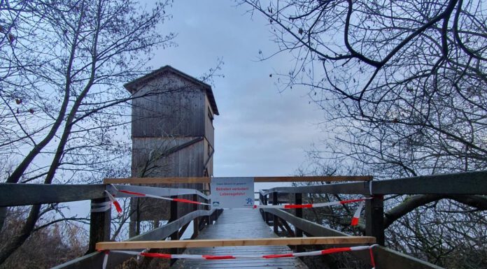 Frostschäden: Steg zum Winzlarer Turm gesperrt – Aussichtsplattform am Meerbrucherlebnisweg bitte nicht betreten