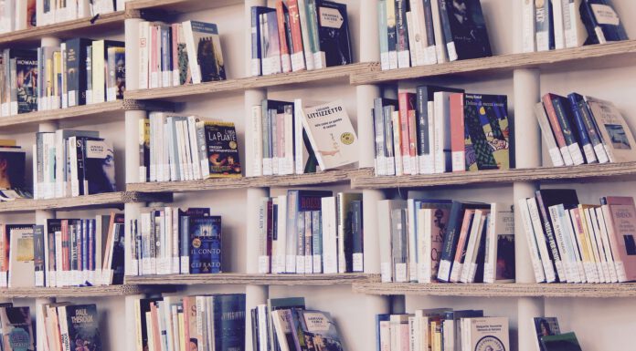 Stadtbibliothek stellt neue Angebote vor – Ab sofort gibt es eine Gaming-Ecke und Themenkisten Demenz