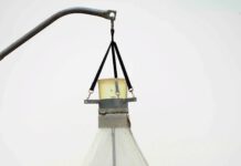 Gefahr für Bienen & Co.: Bremsenfallen in Schutzgebieten verboten Bremsenfalle Quelle Bautsch, CC0, via Wikimedia Commons