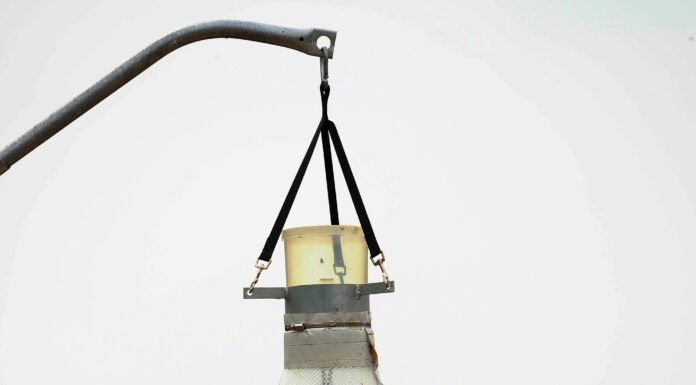 Gefahr für Bienen & Co.: Bremsenfallen in Schutzgebieten verboten Bremsenfalle Quelle Bautsch, CC0, via Wikimedia Commons