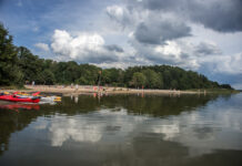 Vermehrtes Aufkommen von Blaualgen am Steinhuder Meer – Vor allem Kinder und Hunde sollten beaufsichtigt werden Vermehrtes Aufkommen von Blaualgen am Steinhuder Meer - Vor allem Kinder und Hunde sollten beaufsichtigt werden