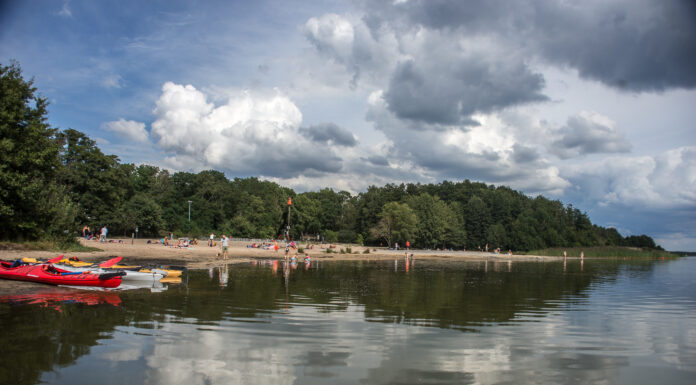 Vermehrtes Aufkommen von Blaualgen am Steinhuder Meer – Vor allem Kinder und Hunde sollten beaufsichtigt werden Vermehrtes Aufkommen von Blaualgen am Steinhuder Meer - Vor allem Kinder und Hunde sollten beaufsichtigt werden