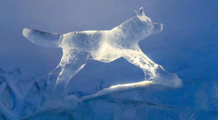 Lichterfest vom 2. bis 3. Dezember in der Innenstadt – Crowdwerk-Projekt soll Eis-Skulptur ermöglichen Lichterfest vom 2. bis 3. Dezember in der Innenstadt - Crowdwerk-Projekt soll Eis-Skulptur ermöglichen