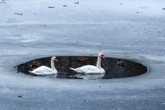 Betreten zugefrorener Gewässer lebensgefährlich, besondere Gefahren durch das Hochwasser