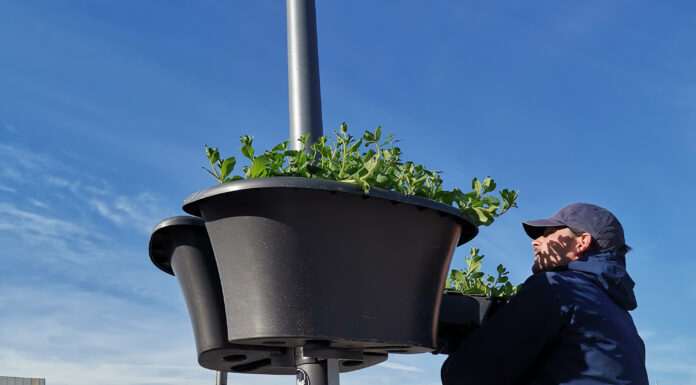 Blumenampeln Saisonstart 2024 an 24 Standorten in Innenstadt und Fußgängerzone Blumenampeln Saisonstart 2024 an 24 Standorten in Innenstadt und Fußgängerzone