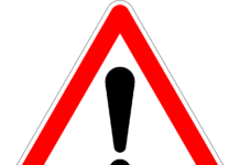 Fuchsbandwurm festgestellt: Empfohlene Vorsichtsmaßnahmen der Stadtverwaltung Fuchsbandwurm festgestellt: Empfohlene Vorsichtsmaßnahmen der Stadtverwaltung