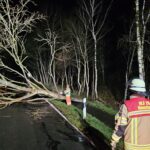 Sturmtief in der Nacht: Feuerwehren im Dauereinsatz Sturmtief in der Nacht: Feuerwehren im Dauereinsatz