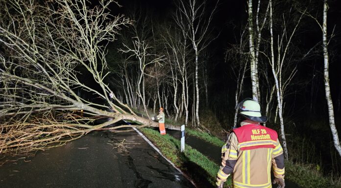Sturmtief in der Nacht: Feuerwehren im Dauereinsatz Sturmtief in der Nacht: Feuerwehren im Dauereinsatz