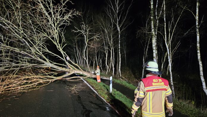 Sturmtief in der Nacht: Feuerwehren im Dauereinsatz