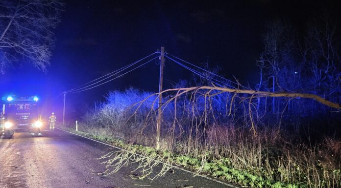 Sturmtief Bernd zieht fast spurlos über Neustadt hinweg Sturmtief Bernd zieht fast spurlos über Neustadt hinweg