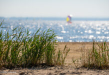 Saisonstart im Naturpark Steinhuder Meer mit abwechslungsreichem Jahresprogramm Ein abwechslungsreiches Jahresprogramm beginnt mit dem Saisonstart im Naturpark Steinhuder Meer. Es bietet zahlreiche Veranstaltungen