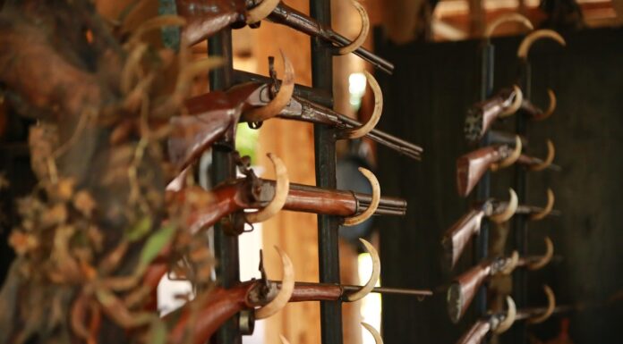 Verbot von bleihaltiger Büchsenmunition tritt am 1. April in Niedersachsen in Kraft Ab 1. April ist bleihaltige Büchsenmunition in Niedersachsen verboten. Das Verbot schützt Umwelt und Gesundheit