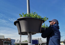 Blumenampeln Saisonstart 2025: Innenstadt erblüht dank Sponsoren Die Blumenampeln Saisonstart 2024 bringt bunten Blumenschmuck in die Innenstadt, finanziert durch engagierte Sponsoren