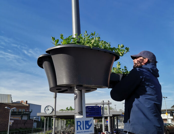 Die Blumenampeln Saisonstart 2024 bringt bunten Blumenschmuck in die Innenstadt, finanziert durch engagierte Sponsoren