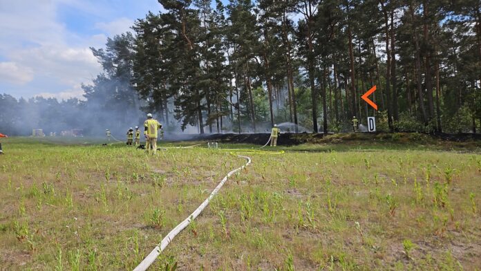 Ein Flächen- und Waldbrand in Luttmersen erforderte den Einsatz von 104 Feuerwehrkräften und mehreren Unterstützungseinheiten