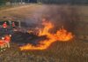 Feuerwehr Neustadt trainiert Vegetationsbrandbekämpfung unter realistischen Bedingungen Die Feuerwehr Neustadt hat Vegetationsbrandbekämpfung unter realistischen Bedingungen geübt, um die Einsatzbereitschaft zu erhöhen