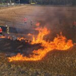 Feuerwehr Neustadt trainiert Vegetationsbrandbekämpfung unter realistischen Bedingungen Die Feuerwehr Neustadt hat Vegetationsbrandbekämpfung unter realistischen Bedingungen geübt, um die Einsatzbereitschaft zu erhöhen