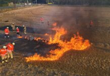Feuerwehr Neustadt trainiert Vegetationsbrandbekämpfung unter realistischen Bedingungen Die Feuerwehr Neustadt hat Vegetationsbrandbekämpfung unter realistischen Bedingungen geübt, um die Einsatzbereitschaft zu erhöhen