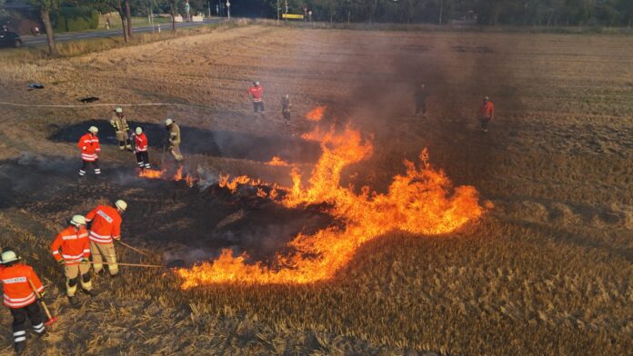 Die Feuerwehr Neustadt hat Vegetationsbrandbekämpfung unter realistischen Bedingungen geübt, um die Einsatzbereitschaft zu erhöhen