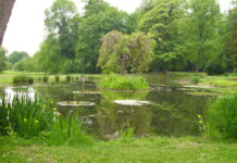 Faszinierende Sagen und Gruselgeschichten in der Leinemasch erleben Die Veranstaltung bietet faszinierende Sagen und Gruselgeschichten in der Leinemasch. Eine Anmeldung ist erforderlich