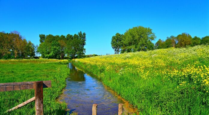 Bürgerversammlung zum Thema Deichweg: Jetzt anmelden und informieren Die Bürgerversammlung zum Thema Deichweg bietet umfassende Informationen und die Möglichkeit zur Diskussion