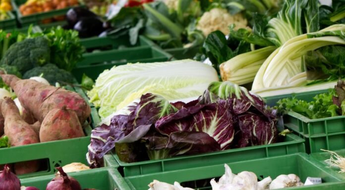 Zwei Feiertage im Oktober – Wochenmarkt verschiebt sich auf Donnerstag Die Verschiebung des Wochenmarkts aufgrund von Feiertagen im Oktober sorgt für neue Termine und bleibt in den Öffnungszeiten unverändert