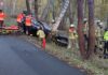Verkehrsunfall auf Moorstraße: Fahrer nach Baum-Crash schwer verletzt Verkehrsunfall auf Moorstraße: Fahrer nach Baum-Crash schwer verletzt. Feuerwehr und Rettungsdienst am Sonntagmorgen im Einsatz