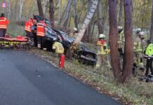 Verkehrsunfall auf Moorstraße: Fahrer nach Baum-Crash schwer verletzt Verkehrsunfall auf Moorstraße: Fahrer nach Baum-Crash schwer verletzt. Feuerwehr und Rettungsdienst am Sonntagmorgen im Einsatz