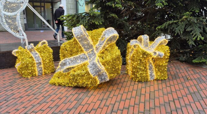Sachbeschädigung an Innenstadt-Dekoration: Stadt stellt Strafanzeige und bittet um Hinweise Sachbeschädigung an Innenstadt-Dekoration sorgt für Unmut. Stadt stellt Strafanzeige und bittet um Hinweise