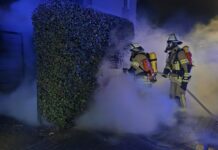 Feuerwehr Neustadt: Schwerer Verkehrsunfall und Containerbrand am Neujahrsmorgen Schwerer Verkehrsunfall und Containerbrand am Neujahrsmorgen sorgen für Einsätze der Feuerwehr und Rettungskräfte