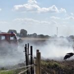 Brand bei Vesbeck: Rundballenpresse in Vollbrand Brand bei Vesbeck am Samstagnachmittag: Feuerwehr und Landwirte löschen eine Rundballenpresse, schützen die Pferdekoppel und Tiere bleiben unverletzt