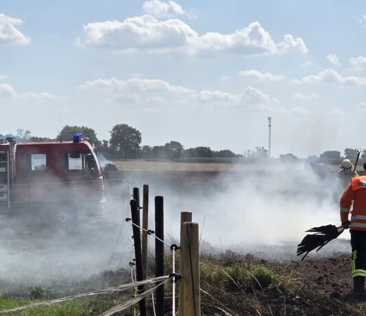 Brand bei Vesbeck: Rundballenpresse in Vollbrand Brand bei Vesbeck am Samstagnachmittag: Feuerwehr und Landwirte löschen eine Rundballenpresse, schützen die Pferdekoppel und Tiere bleiben unverletzt