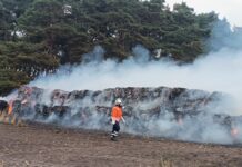 Rundballenbrand in Schneeren greift auf Wald über Waldbrand in Schneeren: Feuerwehr bekämpft 60 brennende Rundballen und Wald am "Zum Hühnerbusch". 139 Kräfte im Einsatz