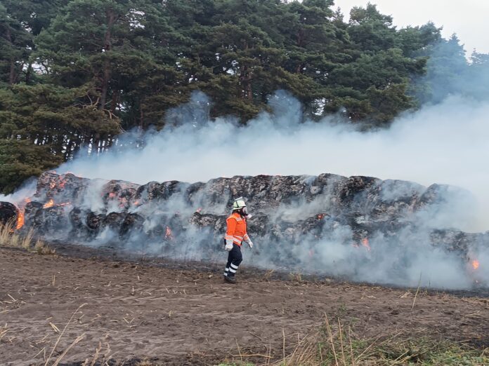 Waldbrand in Schneeren: Feuerwehr bekämpft Heuballen-Brand Waldbrand in Schneeren: Feuerwehr bekämpft 60 brennende Rundballen und Wald am "Zum Hühnerbusch". 139 Kräfte im Einsatz