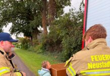 Feuerwehr-Nachwuchs feiert in Poggenhagen zwei Jubiläen mit Ori-Marsch In Poggenhagen feierte die Feuerwehr am Wochenende 50 Jahre Jugendfeuerwehr und 20 Jahre Kinderfeuerwehr mit Ori-Märschen